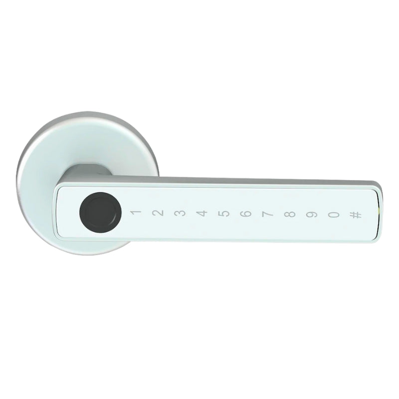 Smart Door Lock Raykube
