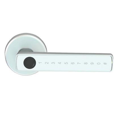 Smart Door Lock Raykube